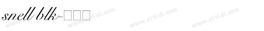 snell blk字体转换